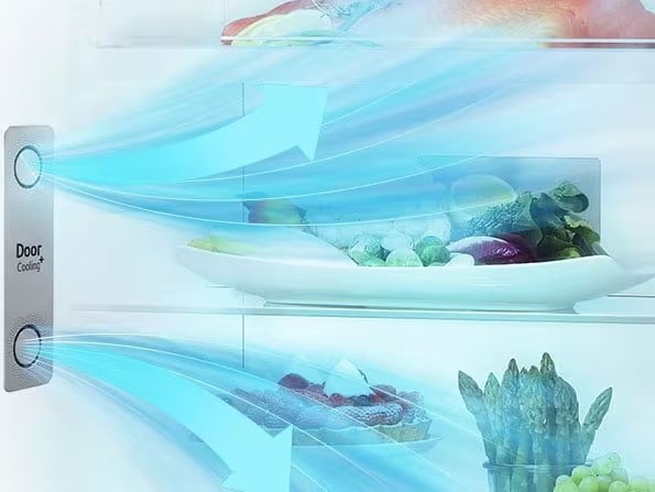 LG Limpieza Plus Refrigerador Mantenimiento